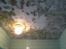 浴室天井の貼替え